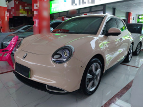 欧拉好猫 2023款 401km标准续航 豪华型 磷酸铁锂