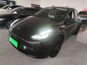 特斯拉 Model Y 2022款 后轮驱动版