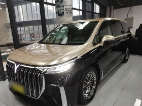 岚图汽车 岚图梦想家 2024款 PHEV 超长续航旗舰版