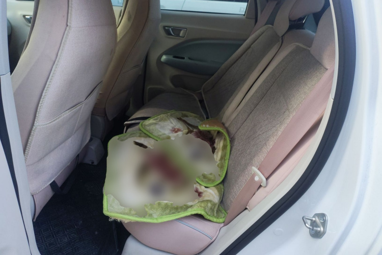 零跑汽车 零跑T03 2024款 200轻享版中控内饰21