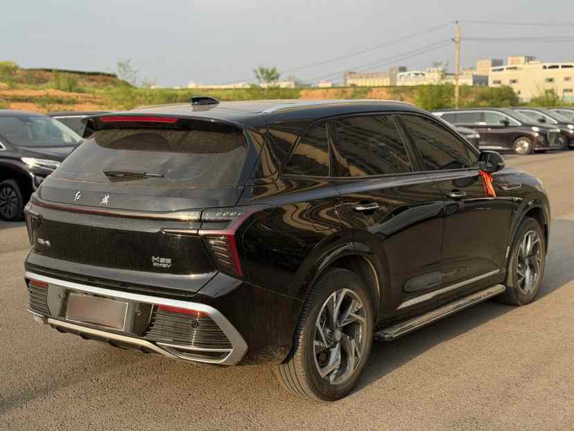 红旗HS3 PHEV 2024款 115km 劲为版(2)