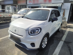 零跑汽车 零跑T03 2022款 玛瑙版