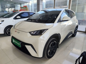 比亚迪 海鸥 2023款 飞翔版