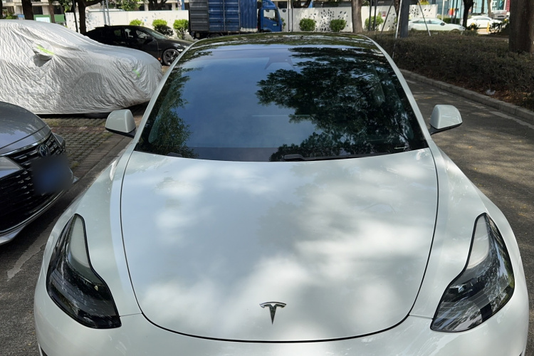 特斯拉 Model 3 2021款 标准续航后驱升级版局部细节9003