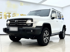 坦克300 2024款 2.0T 穿越者