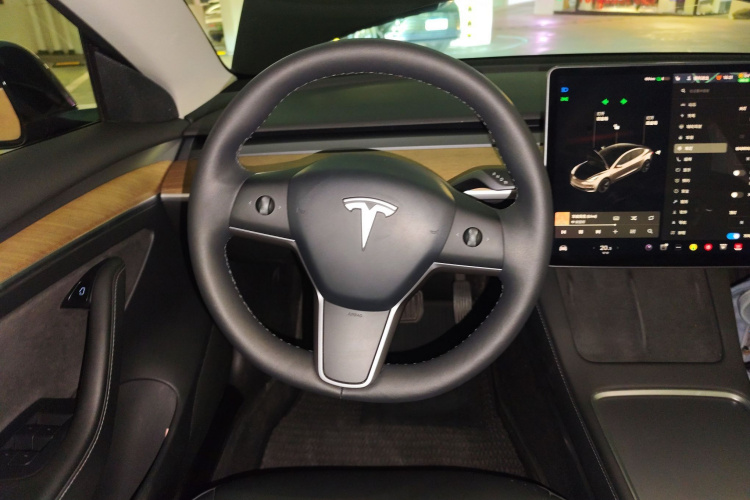 特斯拉 Model 3 2021款 改款 标准续航后驱升级版 3D1中控内饰13