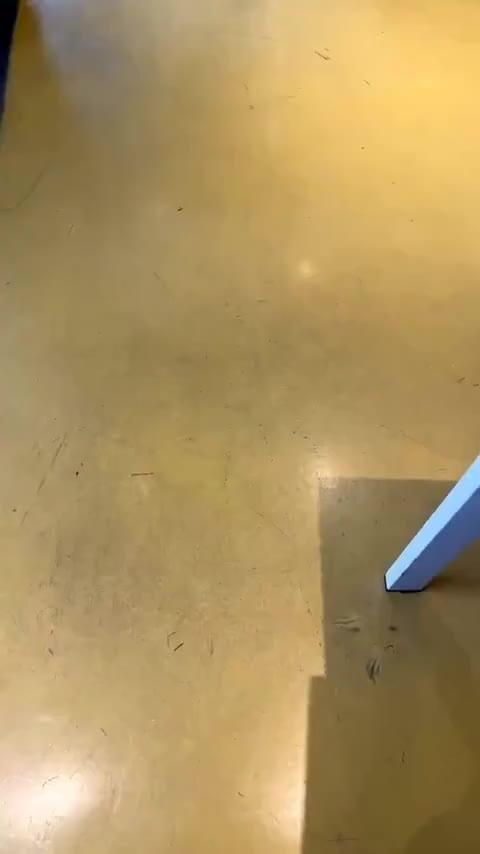 奥迪A3 2020款 Sportback 35 TFSI 进取型 国VI讲解2