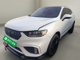 魏牌 VV5 2020款 1.5T 两驱颜先锋