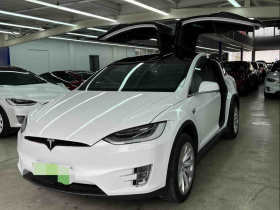 特斯拉 Model X 2020款 长续航升级版