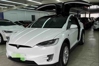 特斯拉 Model X 2020款 长续航升级版