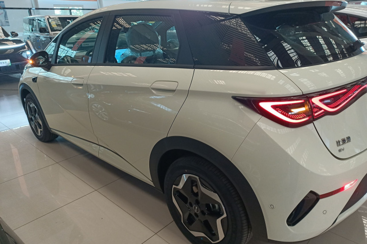 比亚迪 海豚 2025款 智驾版 420km 自由版车身外观4