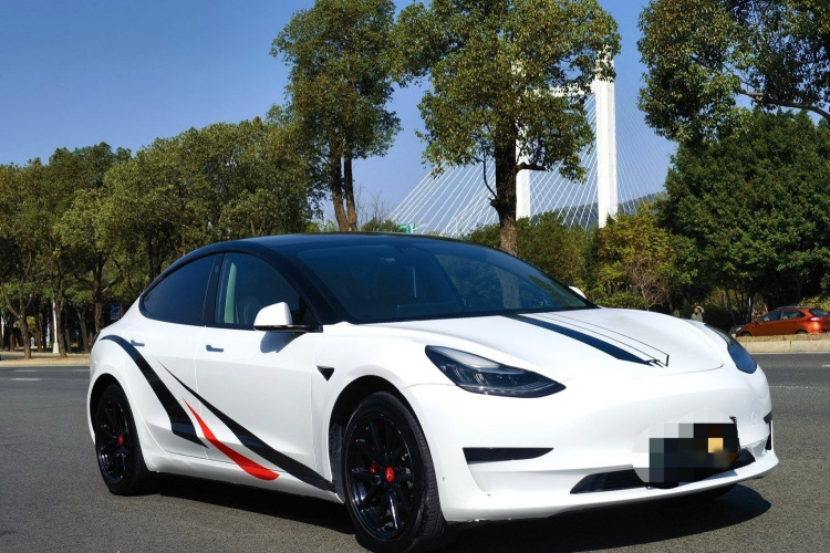 特斯拉 Model 3 2019款 标准续航后驱升级版车身外观6004