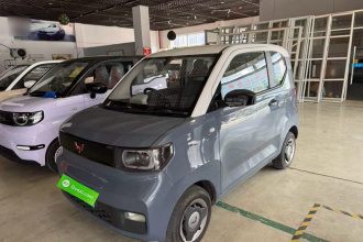 五菱汽车 宏光MINIEV 2021款 马卡龙时尚款 磷酸铁锂