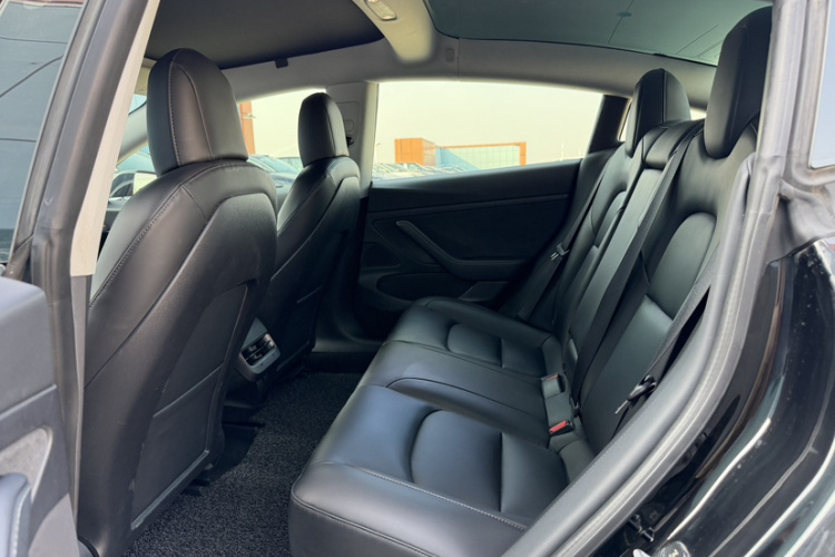 特斯拉 Model 3 2019款 标准续航后驱升级版车身外观6005