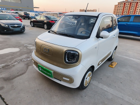 奔腾小马 2025款 222km 闪电马