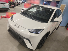 比亚迪 海鸥 2025款 305km 活力版