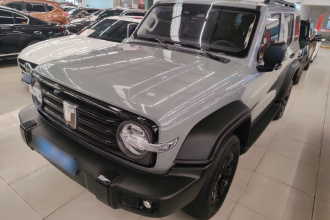 坦克300 2024款 2.0T 挑战者