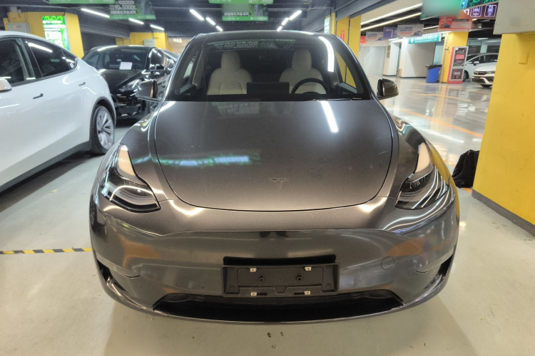 特斯拉 Model Y 2021款 Performance高性能全轮驱动版车身外观6001