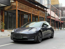 特斯拉 Model 3 2020款 改款 标准续航后驱升级版