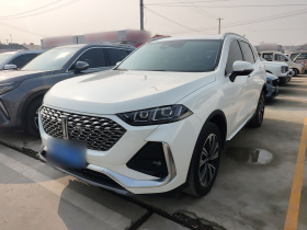 魏牌 拿铁DHT 2022款 1.5T DHT超大杯