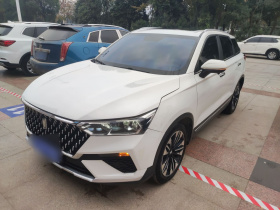 奔腾T77 2021款 PRO 280 TID 定制版