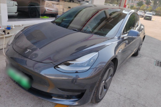 特斯拉 Model 3(进口) 2019款 标准续航后驱升级版(60度)