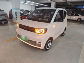 五菱汽车 宏光MINIEV 2021款 马卡龙臻享款 磷酸铁锂