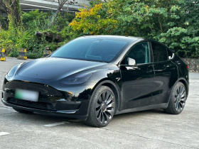 特斯拉 Model Y 2023款 高性能全轮驱动版