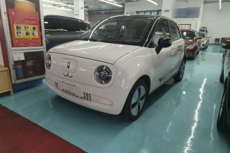 欧拉黑猫 2022款 301km 萌宠版 磷酸铁锂