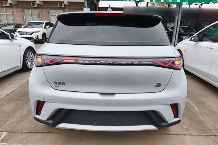 比亚迪 海豚 2021款 405km 时尚版车身外观6