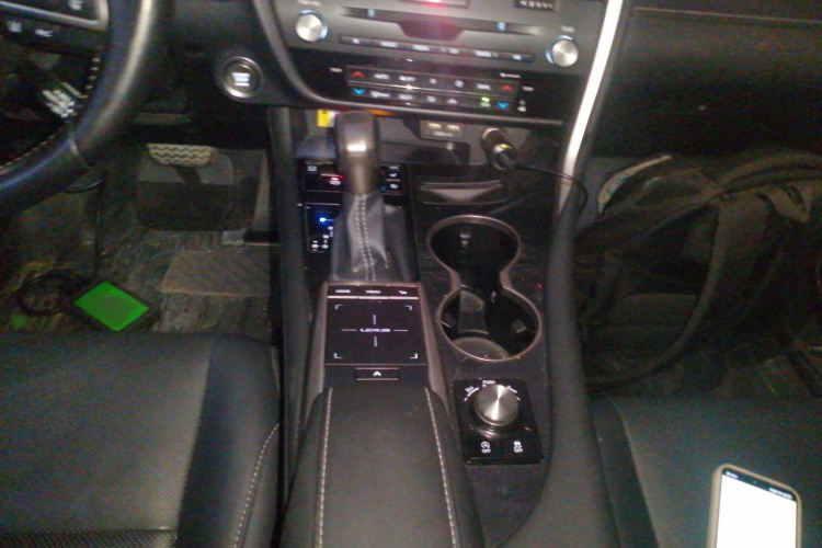 雷克萨斯RX 2020款 300 四驱典雅版 国VI局部细节18