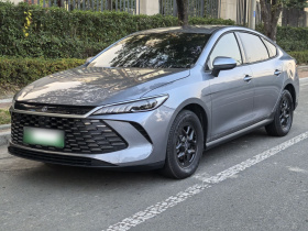 比亚迪 秦PLUS 2025款 DM-i 智驾版 55KM领先型