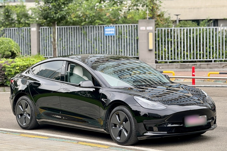 特斯拉 Model 3 2021款 标准续航后驱升级版 3D6车身外观6007