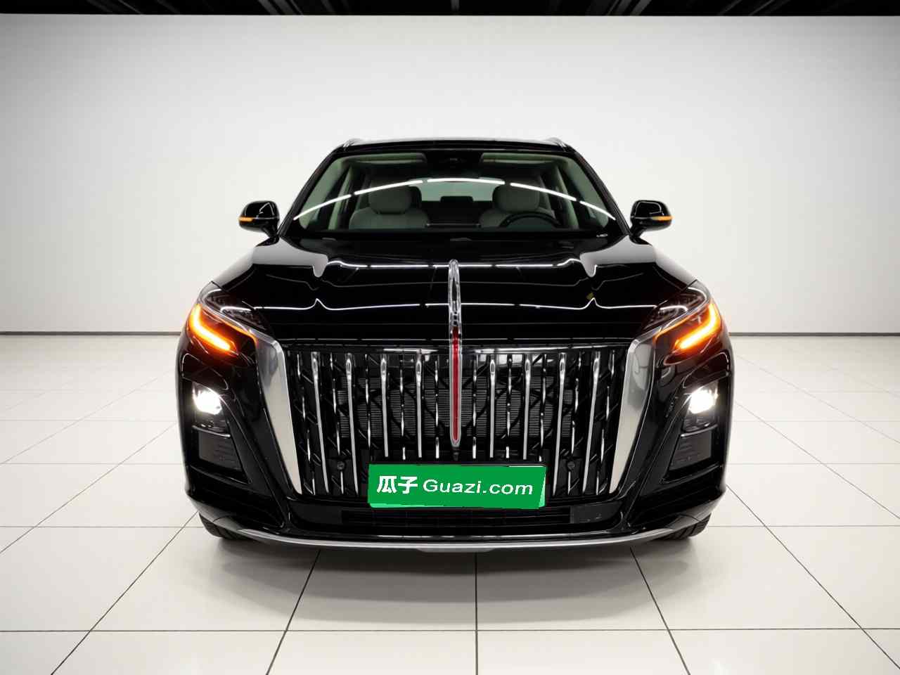 红旗HS3 PHEV 2025款 117km 劲为版(1)