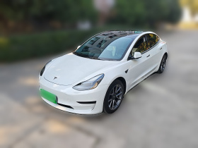 特斯拉 Model 3 2022款 后轮驱动版