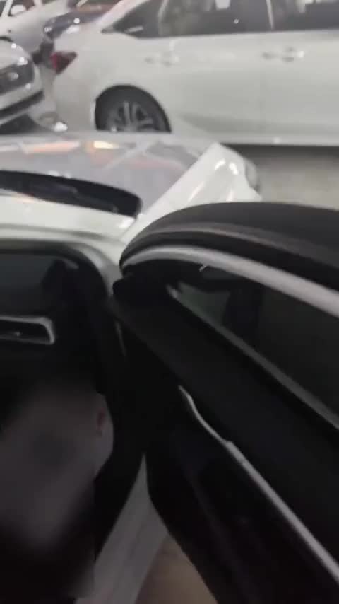 欧拉好猫 2024款 401km 豪华型讲解2