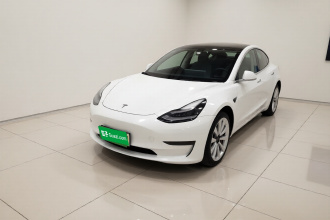 特斯拉 Model 3 2019款 标准续航后驱升级版