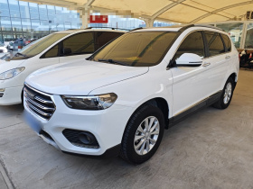 哈弗H6 2020款 1.5GDIT 自动铂金豪华版