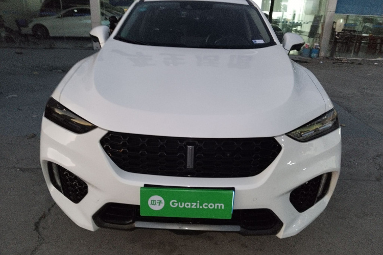 魏牌 VV7 2019款 升级款 2.0T 旗舰型 国V车身外观2