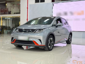 比亚迪 海豚 2021款 405km 时尚版