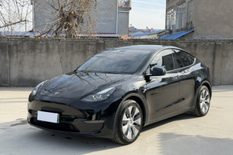特斯拉 Model Y 2021款 标准续航后驱版
