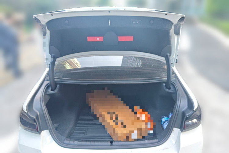 宝马5系 2023款 530Li 领先型 M运动套装中控内饰23