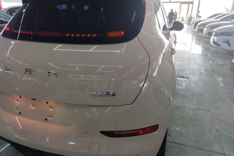 欧拉好猫 2024款 401km 豪华型车身外观9