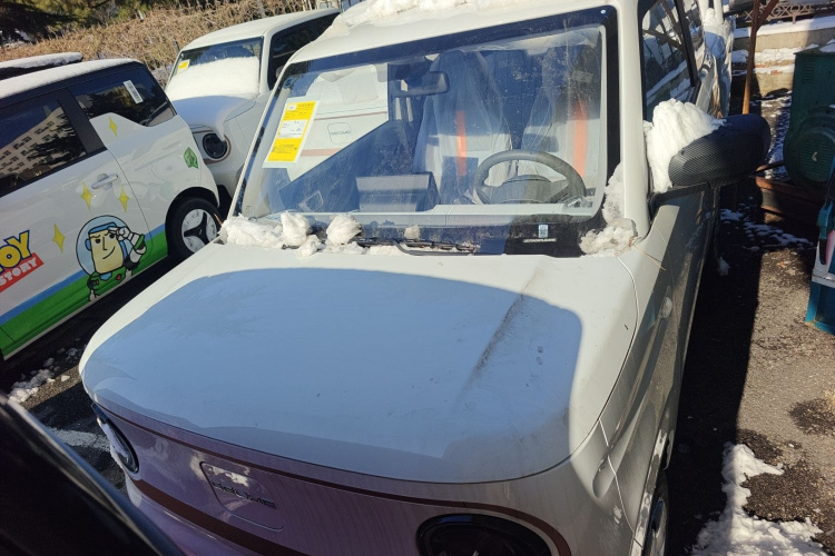 吉利银河 2024款 熊猫mini 200km 耐力熊车身外观4