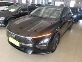 五菱汽车 五菱星光 2024款 共创版 70 标准型