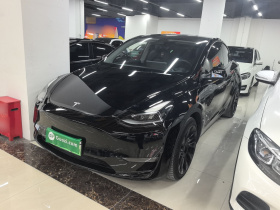 特斯拉 Model Y 2021款 长续航全轮驱动版 3D7