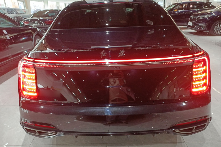 红旗H9 2024款 2.0T 旗畅 私享风尚版车身外观6