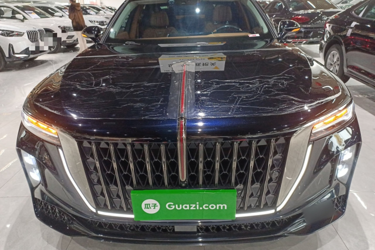 红旗H9 2024款 2.0T 旗畅 私享风尚版车身外观2