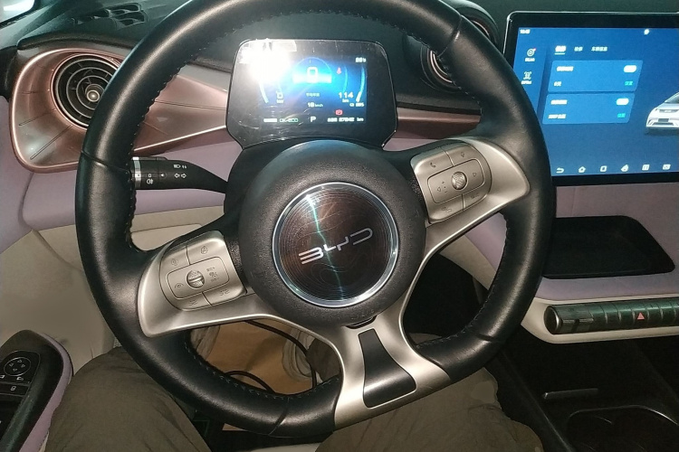 比亚迪 海豚 2021款 401km 骑士版局部细节13