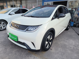 比亚迪 海豚 2024款 荣耀版 420km 时尚版